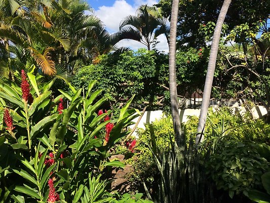 HI50 S5 Hemmeter 2014-11-11 10.33.22