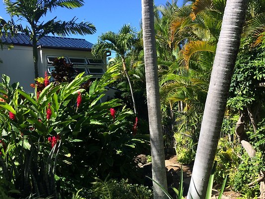 HI50 S5 Hemmeter 2014-11-11 10.32.52