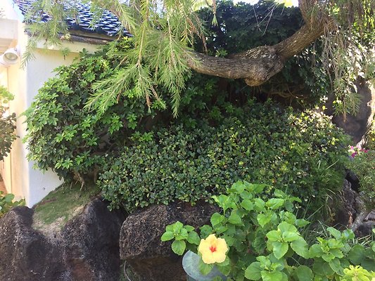 HI50 S5 Hemmeter 2014-11-11 10.33.10