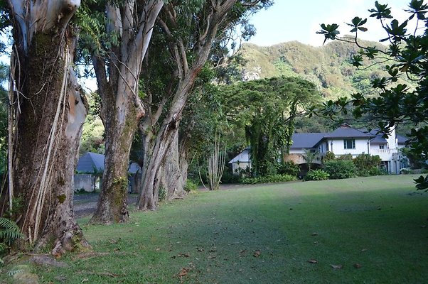 Nuuanu - Marks Estate 3860 Old Pali Road - Charlie Zhao 808-386-3689