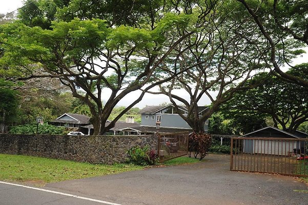 Tatum Estate 990 Auloa Rd - Peg Tatum 808.721.5578