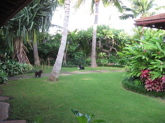 HI50 S5 Pietsch 25 Front Lawn