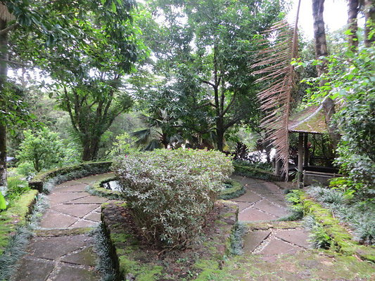 Lyon Arboretum- 3860 Manoa Rd- Ken Seamon 220.2170 Lyon Arboretum- 3860 Manoa Rd- Ken Seamon 220.2170