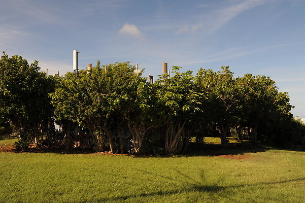 Po Uo Kaimuki Mini Park Po Uo Kaimuki Mini Park