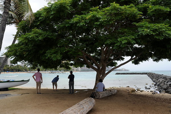 Surfer's Lot - Kaiser's Surf Spot Surfer's Lot - Kaiser's Surf Spot