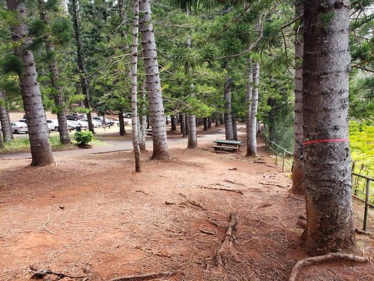 th 20190805 133201 th 20190805 133201