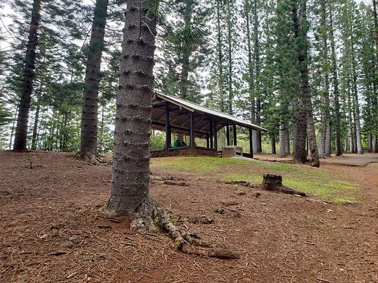 th 20190805 134045 th 20190805 134045