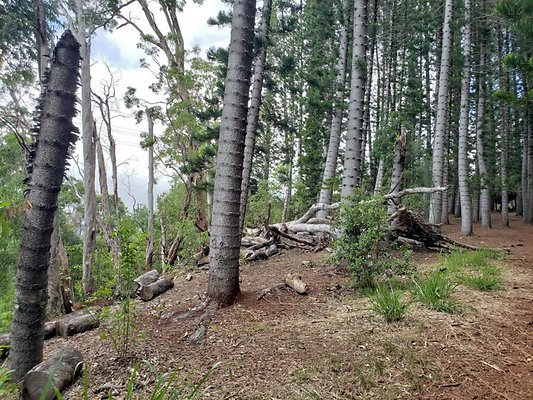 th 20190805 133846 th 20190805 133846