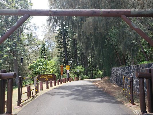 th 20190805 130939 th 20190805 130939