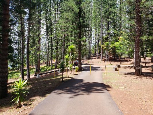 th 20190805 132848 th 20190805 132848