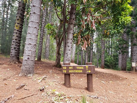 th 20190805 131906 th 20190805 131906