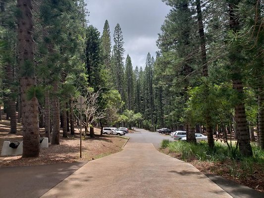 th 20190805 131954 th 20190805 131954