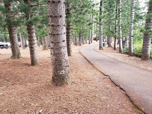 th 20190805 133251 th 20190805 133251