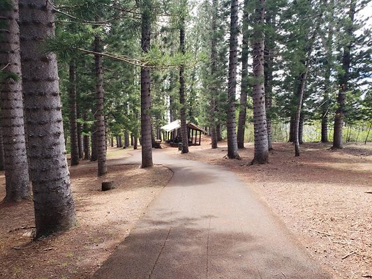 th 20190805 133358 th 20190805 133358