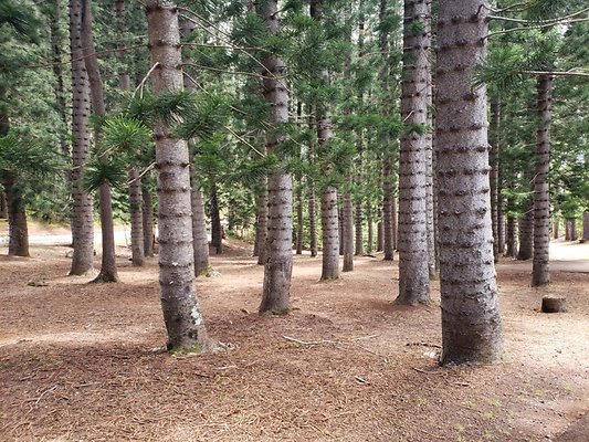 th 20190805 133352 th 20190805 133352