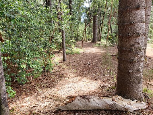 th 20190805 133556 th 20190805 133556