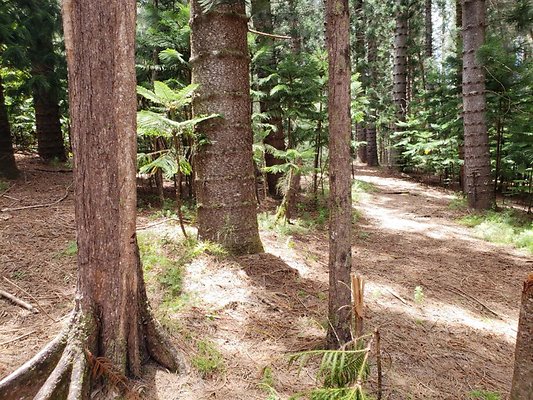 th 20190805 132550 th 20190805 132550