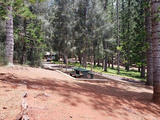 th 20190805 133030 th 20190805 133030