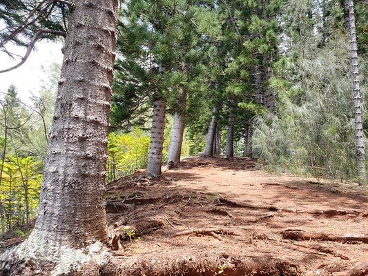 th 20190805 133024 th 20190805 133024