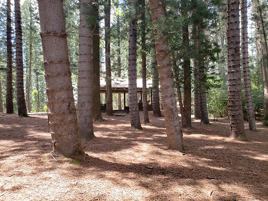 th 20190805 132704 th 20190805 132704