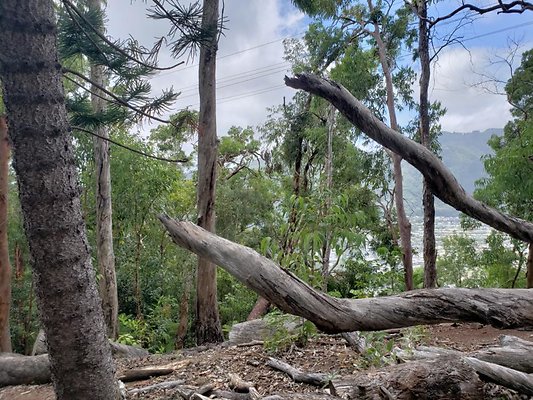 th 20190805 133909 th 20190805 133909