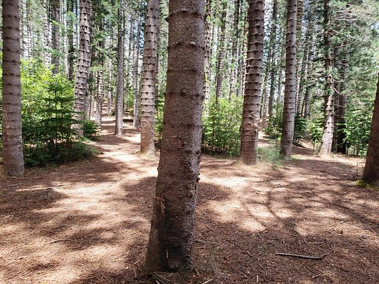 th 20190805 132204 th 20190805 132204