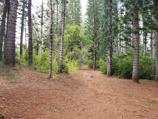 th 20190805 134314 th 20190805 134314