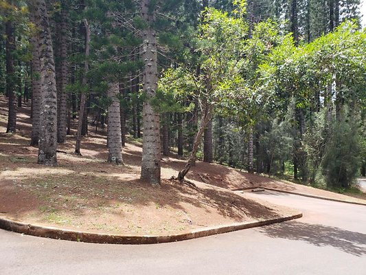 th 20190805 131713 th 20190805 131713