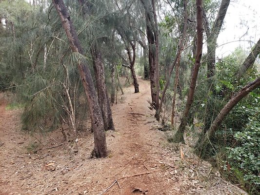 th 20190805 133759 th 20190805 133759