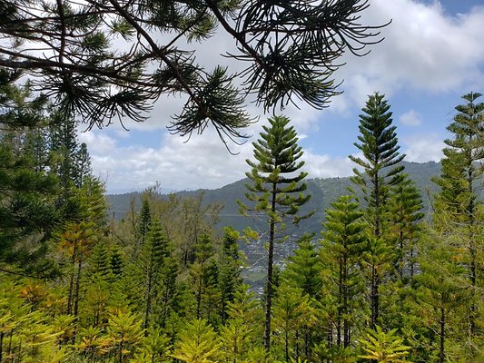 th 20190805 133047 th 20190805 133047