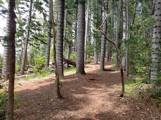 th 20190805 133706 th 20190805 133706