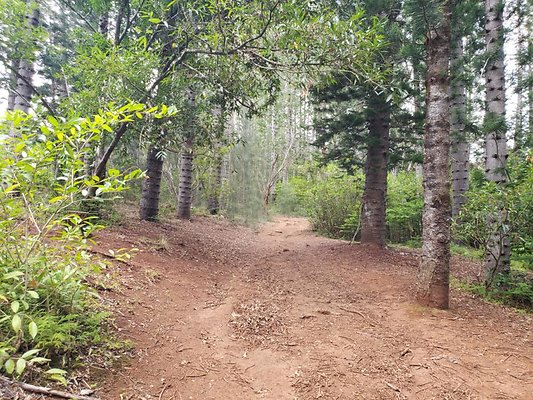 th 20190805 134339 th 20190805 134339