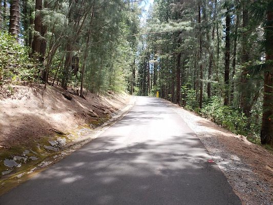 th 20190805 131220 th 20190805 131220