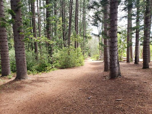 th 20190805 133458 th 20190805 133458