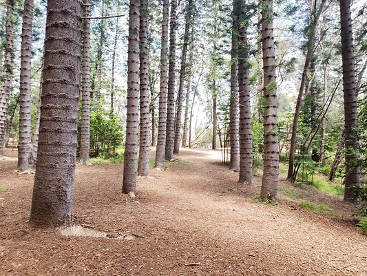 th 20190805 132317 th 20190805 132317