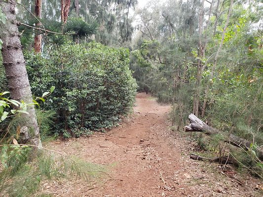 th 20190805 133739 th 20190805 133739