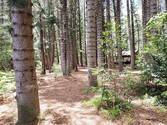 th 20190805 132444 th 20190805 132444