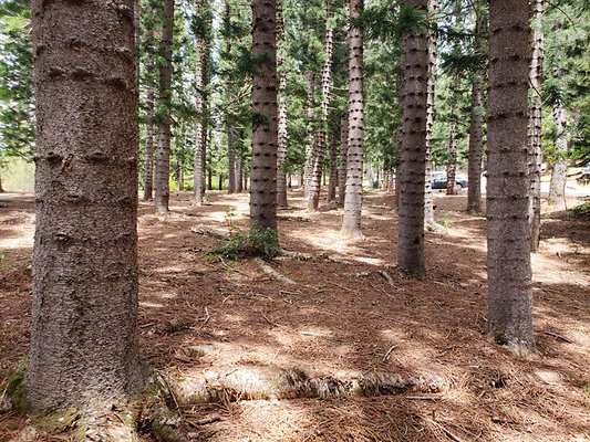 th 20190805 134113 th 20190805 134113