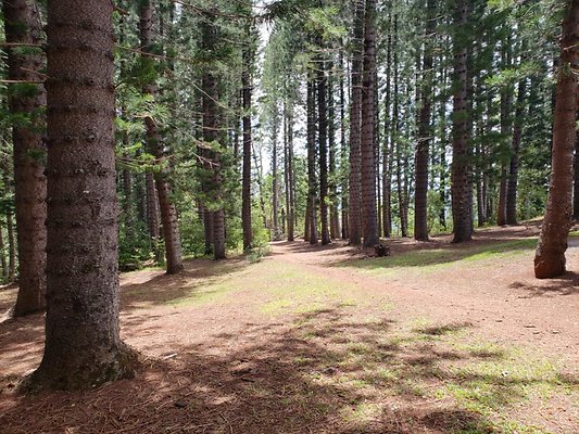 th 20190805 133431 th 20190805 133431