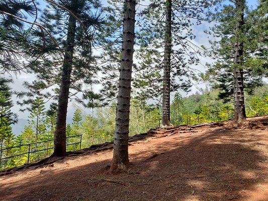 th 20190805 133002 th 20190805 133002