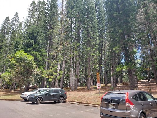 th 20190805 131636 th 20190805 131636