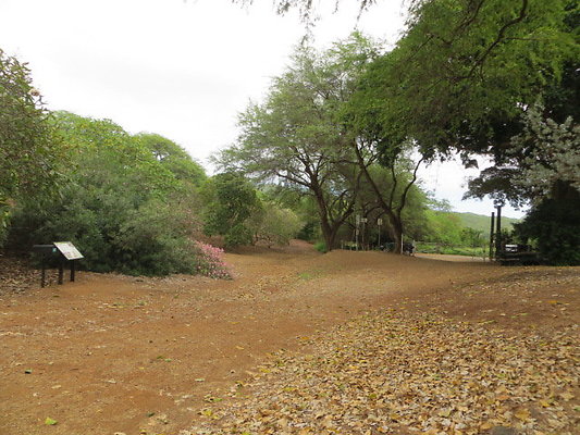 Koko Crater Botanical Garden- 7491 Kokonani Street 522.7060 Koko Crater Botanical Garden- 7491 Kokonani Street 522.7060