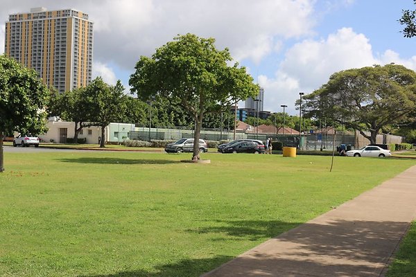 th IMG 0231 th IMG 0231