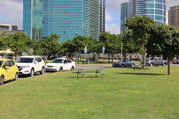 th IMG 0229 th IMG 0229