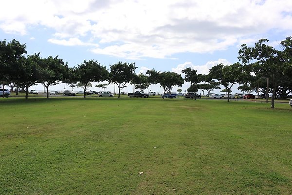 th IMG 0178 th IMG 0178