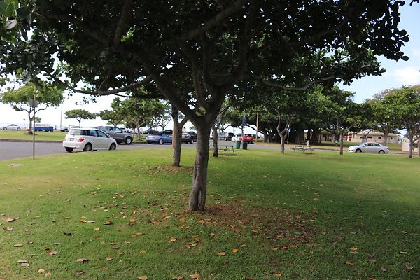 th IMG 0122 th IMG 0122