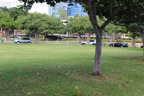 th IMG 0139 th IMG 0139