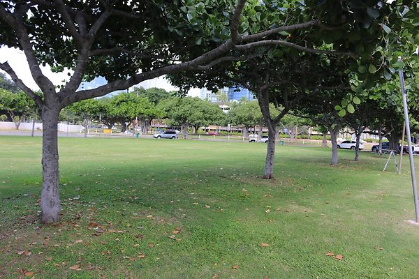 th IMG 0124 th IMG 0124