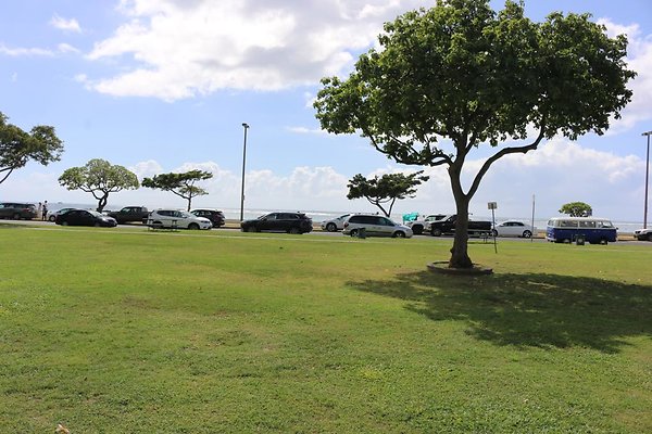 th IMG 0250 th IMG 0250