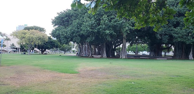 Thomas Square 925 S Beretania St Thomas Square 925 S Beretania St